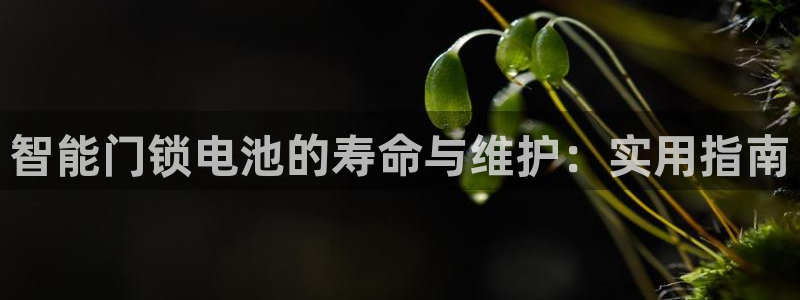 富联娱乐官网入口下载：智能门锁电池的寿命与维护：实用指南