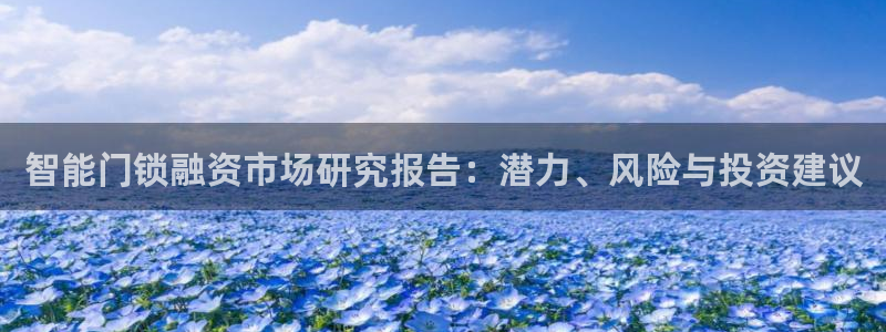 富联娱乐乙六七伍一三八：智能门锁融资市场研究报告：潜力、风险