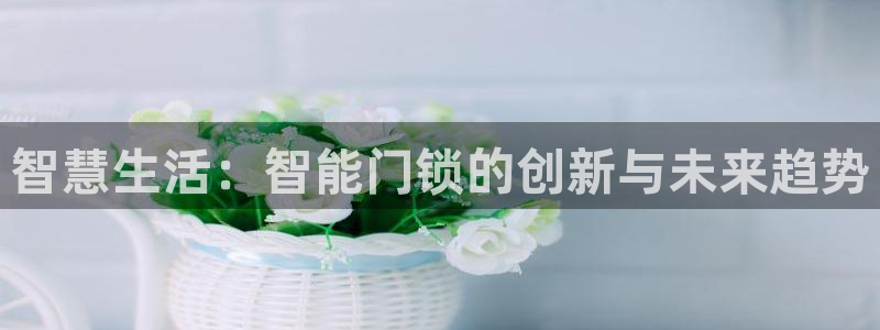 富联娱乐凡六七五一38：智慧生活：智能门锁的创新与未来趋势