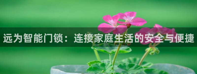 富联娱乐招商：远为智能门锁：连接家庭生活的安全与便捷