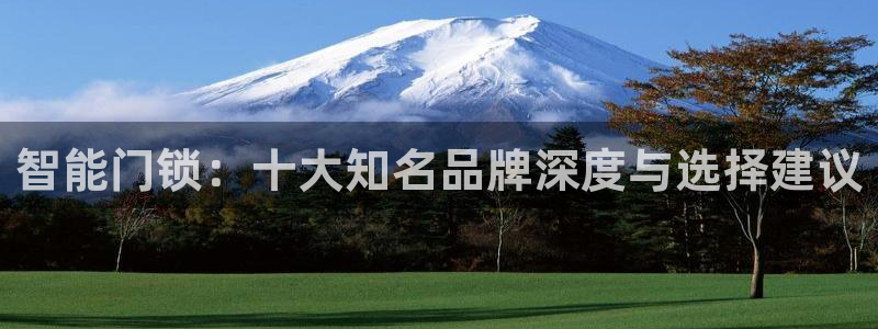 富联娱乐主管是谁啊老板：智能门锁：十大知名品牌深度与选择建议