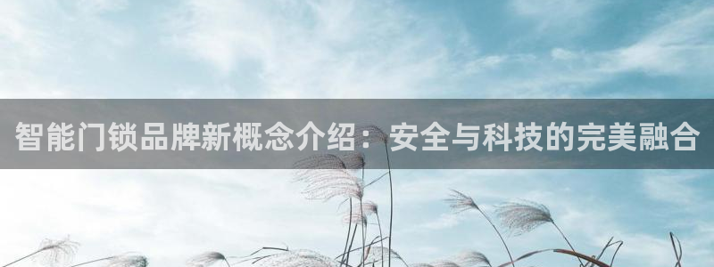 富联娱乐主管做判官333oo：智能门锁品牌新概念介绍：安全与