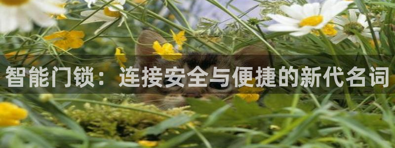 富联娱乐主管做判官333oo：智能门锁：连接安全与便捷的新代