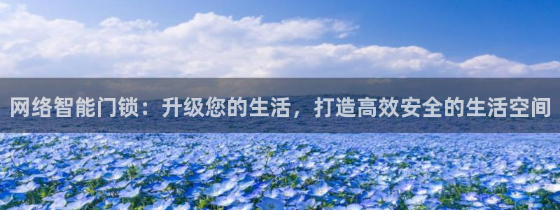 富联娱乐正规吗安全吗：网络智能门锁：升级您的生活，打造高效安
