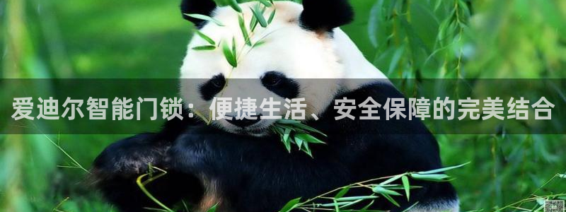 富联娱乐官网下载安卓版：爱迪尔智能门锁：便捷生活、安全保障的
