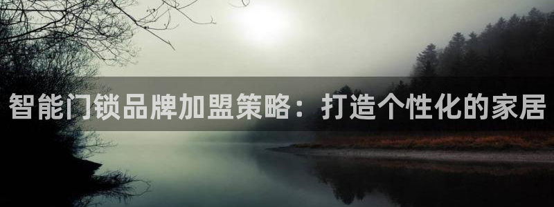 富联娱乐测速地址查询：智能门锁品牌加盟策略：打造个性化的家居
