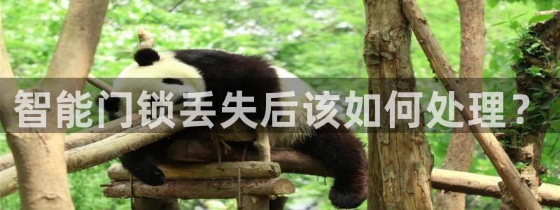 富联娱乐下载官网：智能门锁丢失后该如何处理？