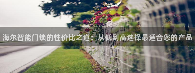 富联娱乐招商杂判官333OO：海尔智能门锁的性价比之道：从低