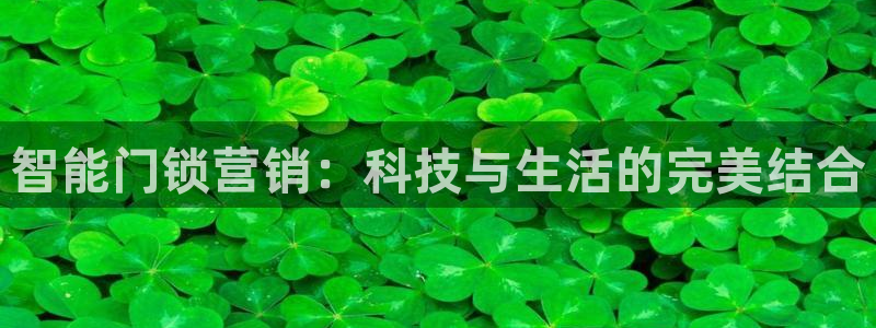 富联娱乐公司简介怎么写：智能门锁营销：科技与生活的完美结合