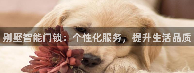 富联娱乐账号注册要钱吗：别墅智能门锁：个性化服务，提升生活品