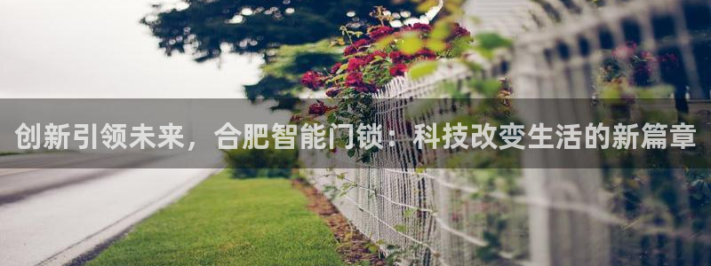 富联娱乐下载免费版安装：创新引领未来，合肥智能门锁：科技改变