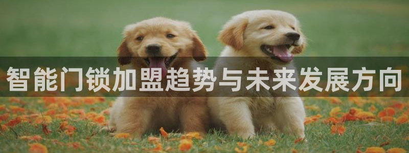 富联2娱乐六七五一38：智能门锁加盟趋势与未来发展方向