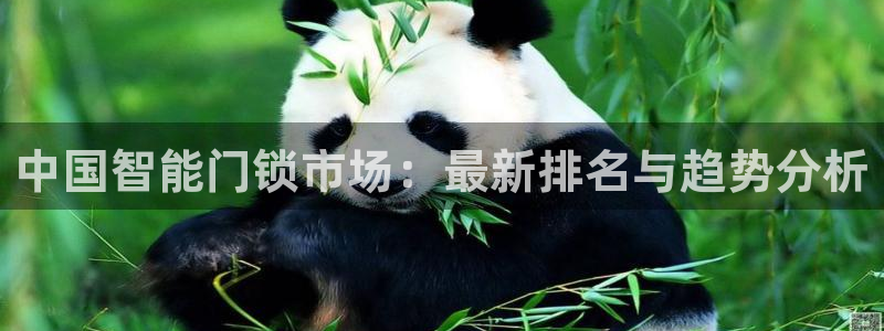 富联2娱乐元哥微博：中国智能门锁市场：最新排名与趋势分析