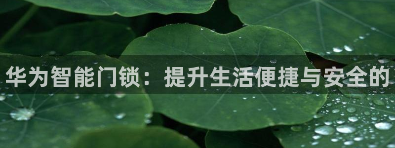 富联娱乐主管那判官333OO：华为智能门锁：提升生活便捷与安