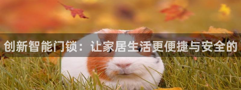 富联娱乐官网下载：创新智能门锁：让家居生活更便捷与安全的
