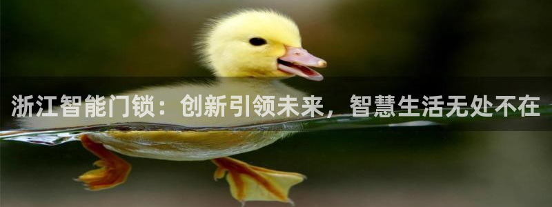 富联娱乐登录链接怎么弄：浙江智能门锁：创新引领未来，智慧生活