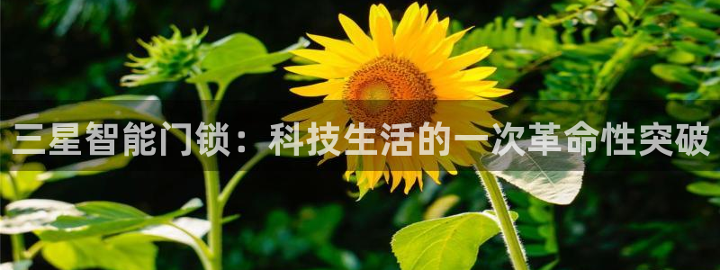 富联娱乐贴吧官网首页：三星智能门锁：科技生活的一次革命性突破