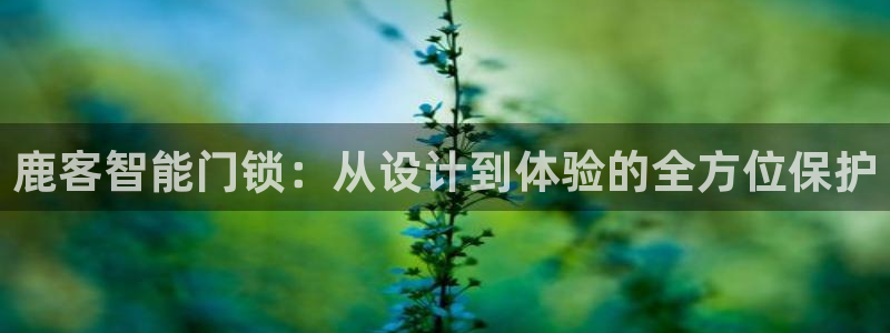 富联娱乐招商疑判官333OO：鹿客智能门锁：从设计到体验的全