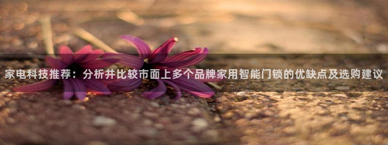 富联2娱乐平台注册：家电科技推荐：分析并比较市面上多个品牌家