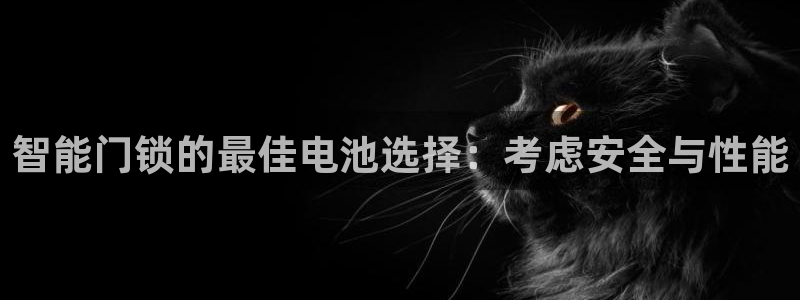 富联娱乐最厉害三个网站：智能门锁的最佳电池选择：考虑安全与性