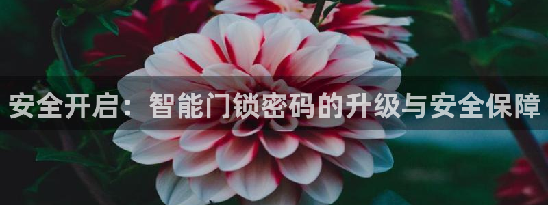 富联娱乐代理是谁的：安全开启：智能门锁密码的升级与安全保障