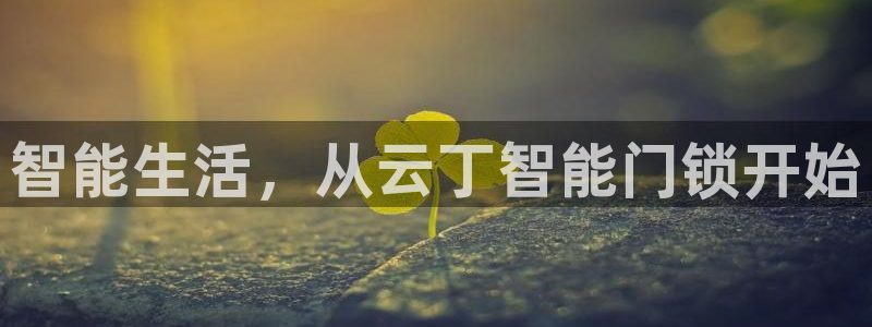 富联娱乐代理：智能生活，从云丁智能门锁开始