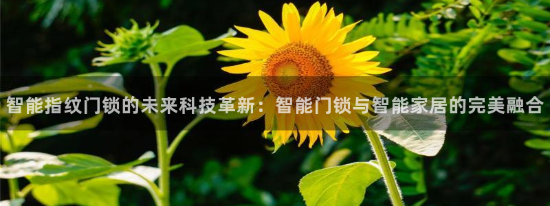 富联娱乐平台特点：智能指纹门锁的未来科技革新：智能门锁与智能