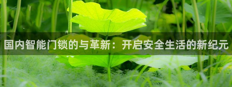 富联娱乐主管就判官333OO：国内智能门锁的与革新：开启安全