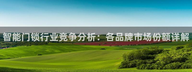 富联娱乐系究7276O：智能门锁行业竞争分析：各品牌市场份额