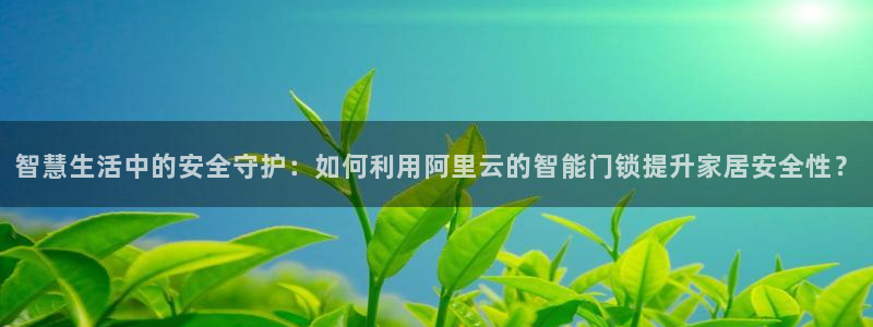 富联娱乐测速地址在哪查：智慧生活中的安全守护：如何利用阿里云