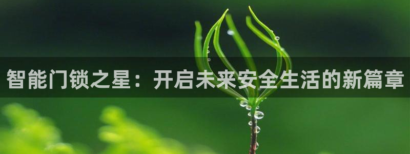 富联娱乐招商会判官333OO：智能门锁之星：开启未来安全生活